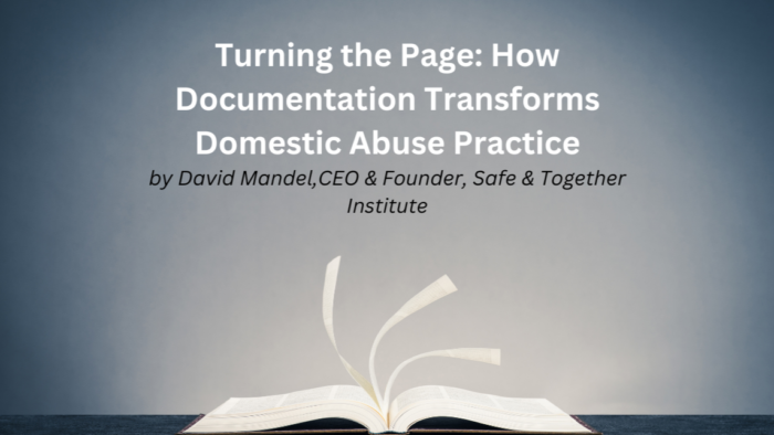 Turning the Page: How Documentation Transforms Domestic Abuse Practice